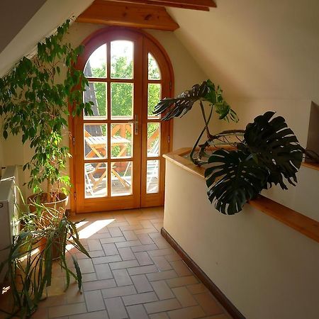 Aranyhaz Apartmanszallas Tihany Buitenkant foto